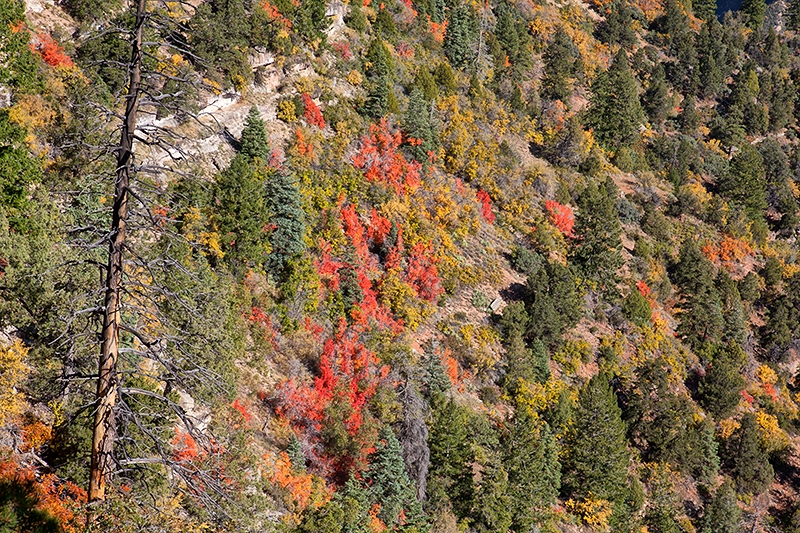 Unübersehbar - der Herst war da